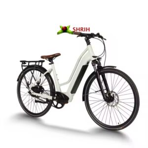 36V 250W Cheapest Electric City Bicycle for Adults – Eco-Friendly & Efficient Ride
