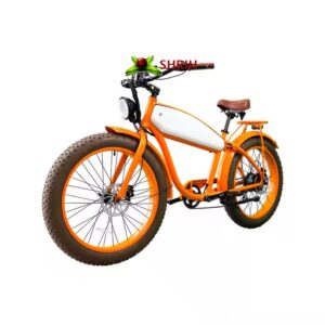 Electric city bike, 48V motor e-bike, removable battery e-bike, 20Ah battery cycle, vintage electric bicycle, long-range e-cycle, retro suspension bike, urban commuter e-bike, Shrih Auto Parts